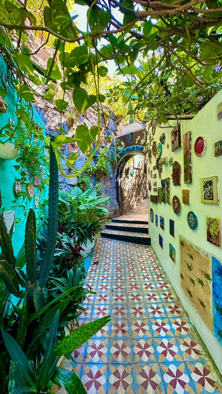 Mídia 6 de Pipa City Tour — com seu amigo de viagens da NOSSA AGÊNCIA